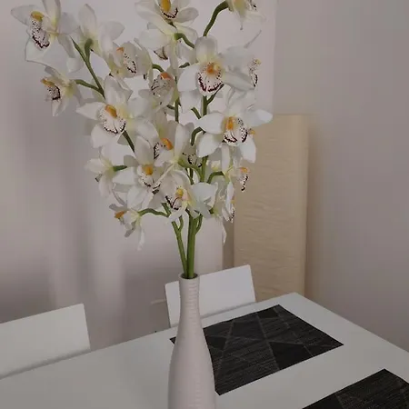 Appartamento The Smart Choice Firenze